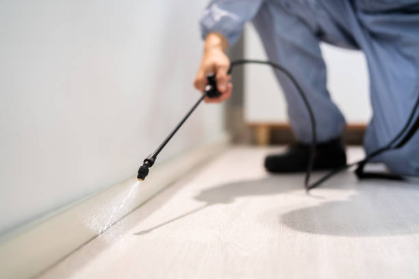 Licensed Termite Control service in Sibley County County, MN - Nex Pest Control