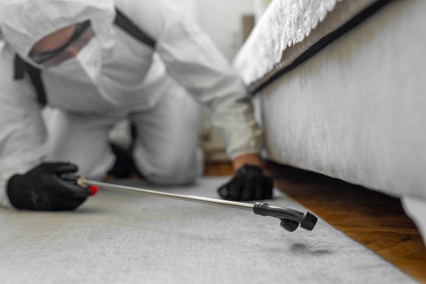 Professional Termite Control technician working in Sibley County County, MN